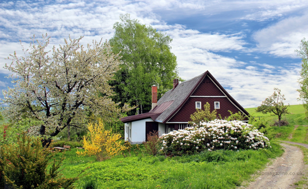 Cottage in 1920 America