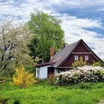 Cottage in 1920 America