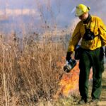 Causes of Wildfires: Unveiling the Incredible Factors Fueling Destructive Fires