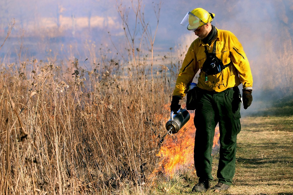 Causes of Wildfires: Unveiling the Incredible Factors Fueling Destructive Fires