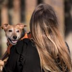 CBD for Pets Petco: The Ultimate Solution for Happy Pets