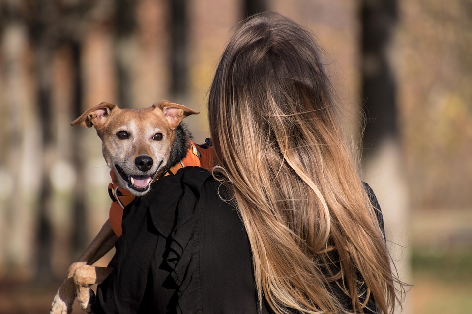 CBD for Pets Petco: The Ultimate Solution for Happy Pets